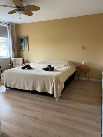 Sunnystay 43 Middelbourg Extérieur photo